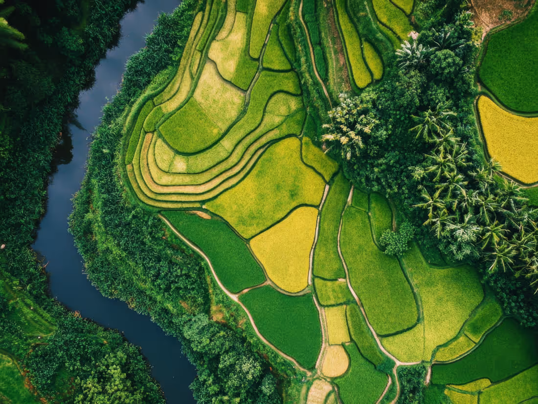 Aerial view of contoured green farmland beside a winding river
